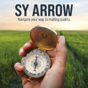 SY Arrow