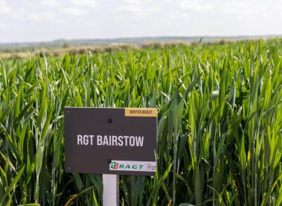 RGT Bairstow