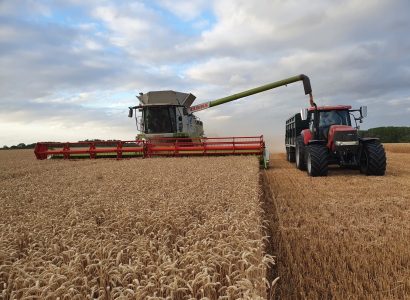 Matt Fuller Illustrious 3