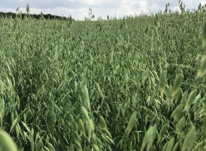 RGT Southwark-Production-June 2022